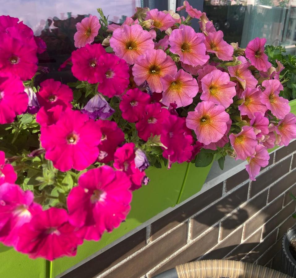 פלובדיב M&M Center Apartment With Free Parking מראה חיצוני תמונה
